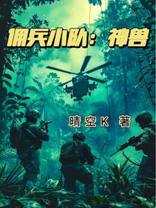 雇佣兵小说排行榜 贴吧